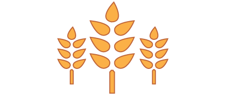grains of wheat icon - Agriculture